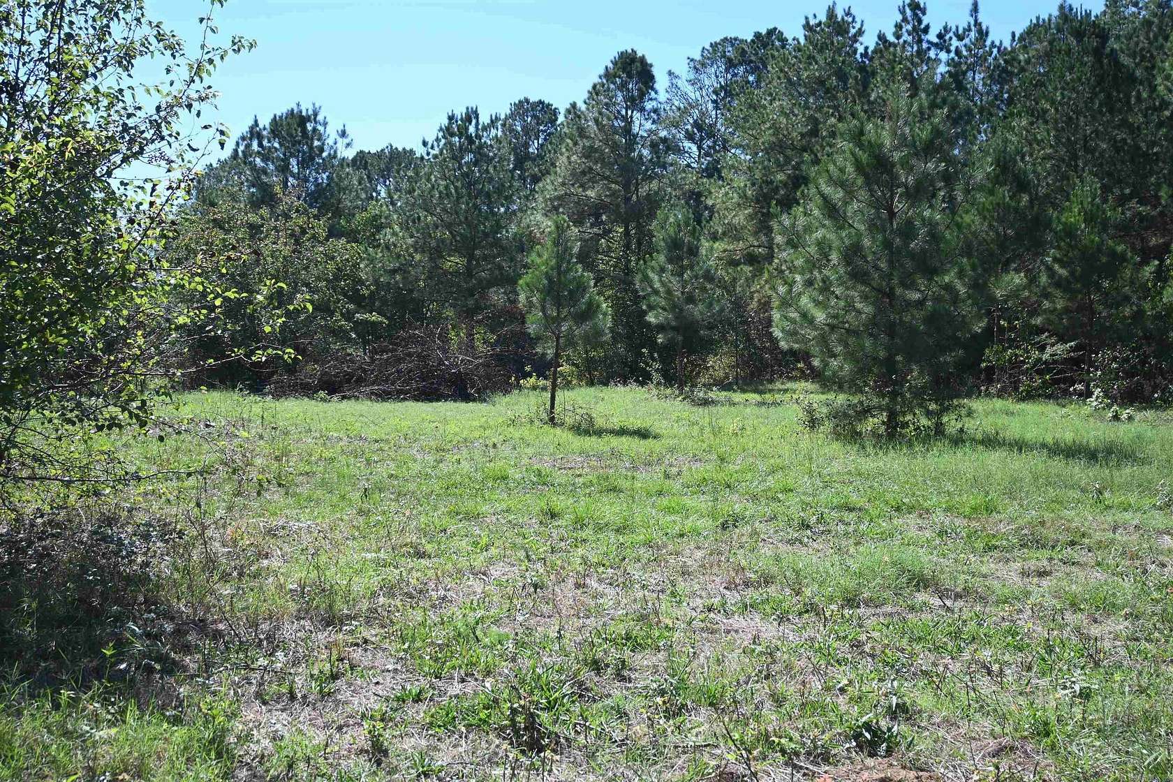15.9 Acres of Land for Sale in Prattsville, Arkansas