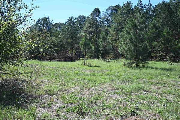 15.9 Acres of Land for Sale in Prattsville, Arkansas