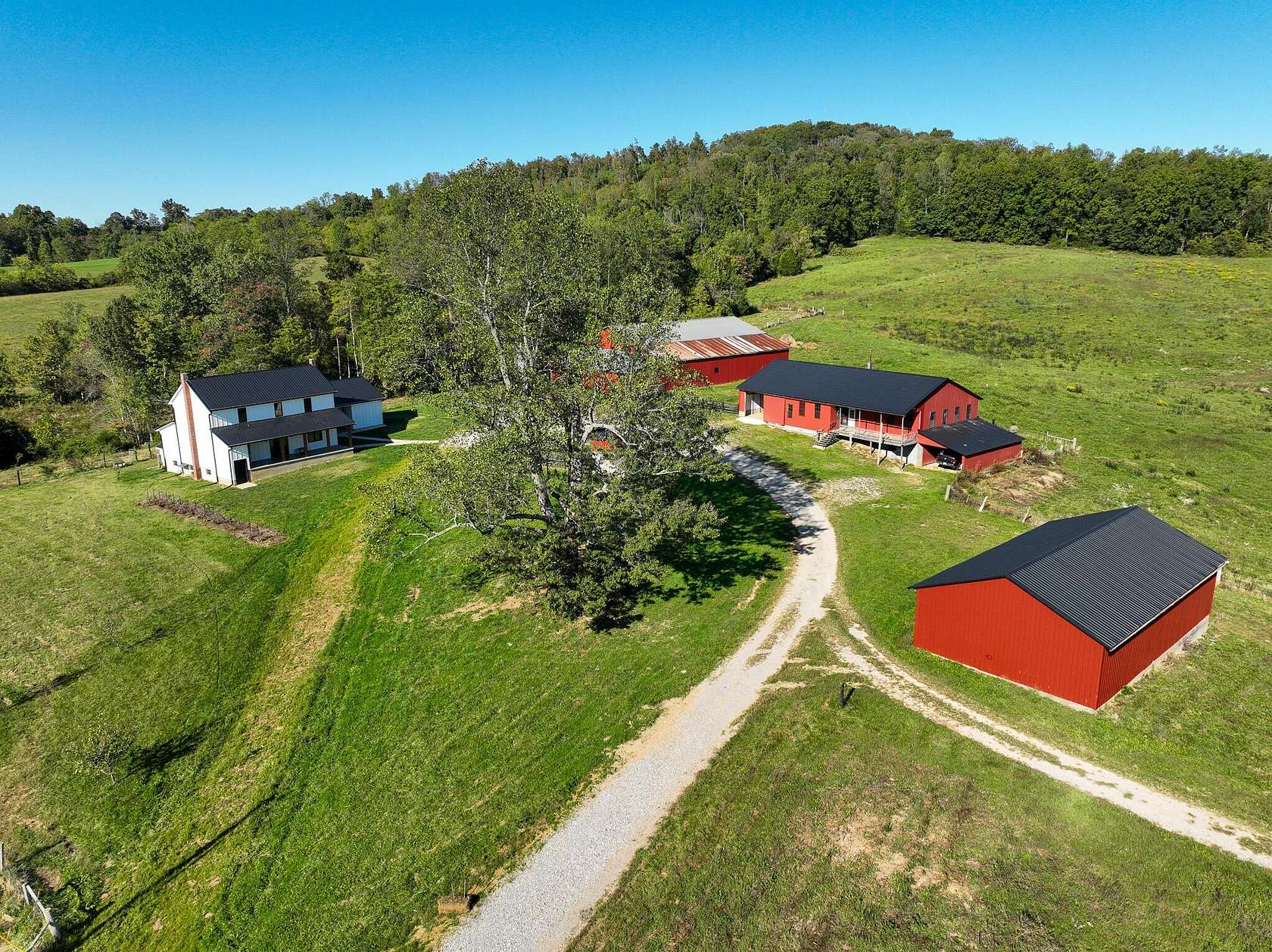 78.7 Acres of Land with Home for Sale in Liberty, Kentucky