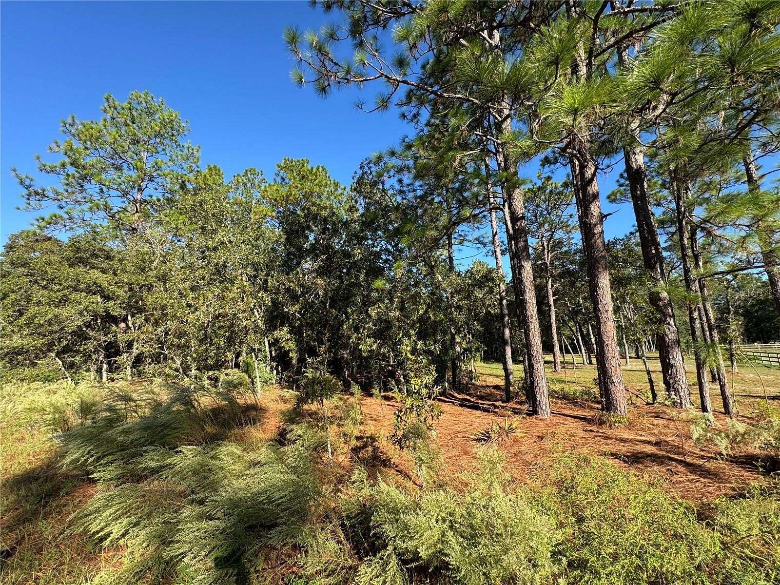 1.16 Acres of Residential Land for Sale in Ocala, Florida