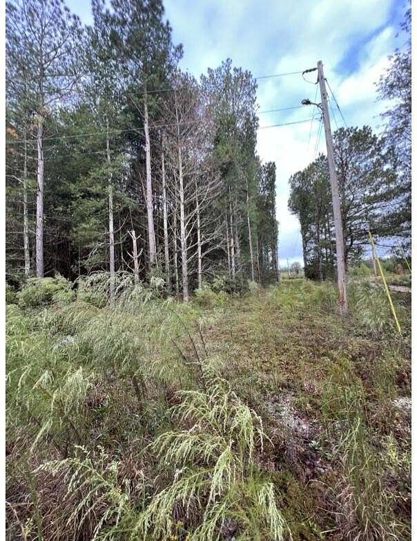 3 Acres of Residential Land for Sale in Batesburg-Leesville, South Carolina