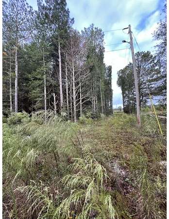 3 Acres of Residential Land for Sale in Batesburg-Leesville, South Carolina