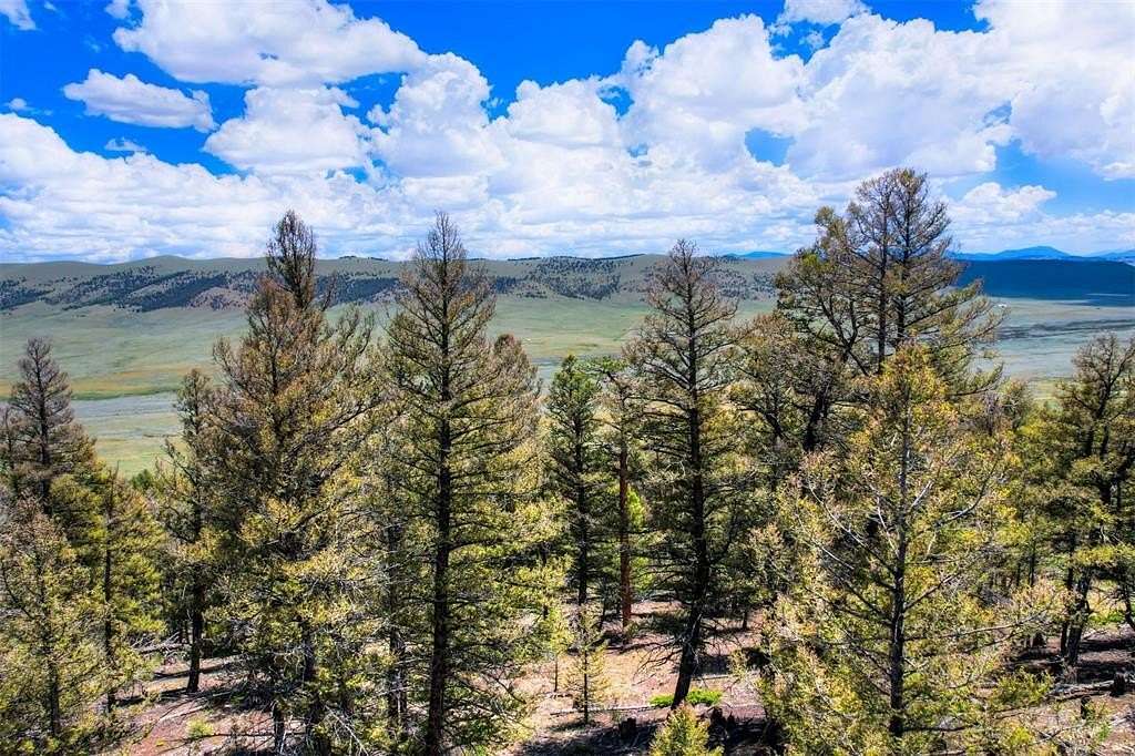 2 Acres of Residential Land for Sale in Fairplay, Colorado