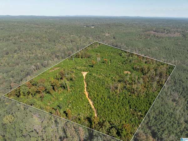 25 Acres of Recreational Land for Sale in Calera, Alabama