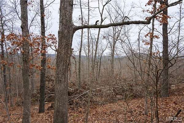 5 Acres of Land for Sale in Dixon, Missouri