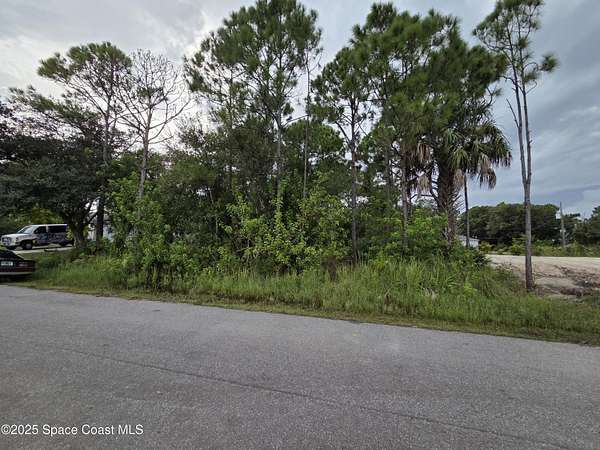0.23 Acres of Residential Land for Sale in Palm Bay, Florida