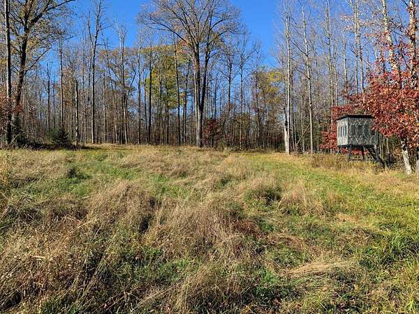 31.4 Acres of Land for Sale in Winter, Wisconsin