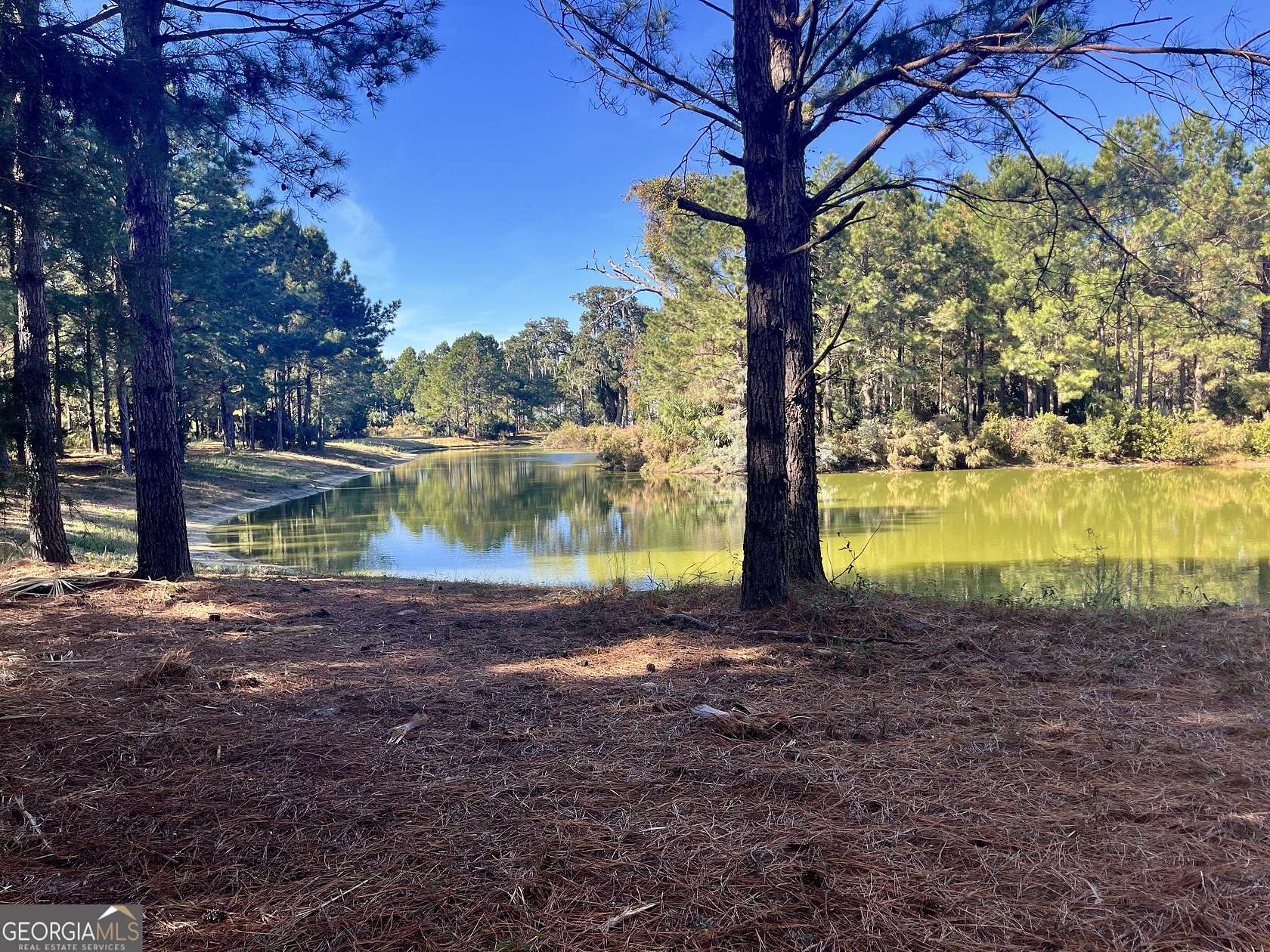 0.29 Acres of Residential Land for Sale in Waverly, Georgia