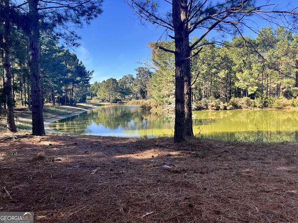 0.29 Acres of Residential Land for Sale in Waverly, Georgia