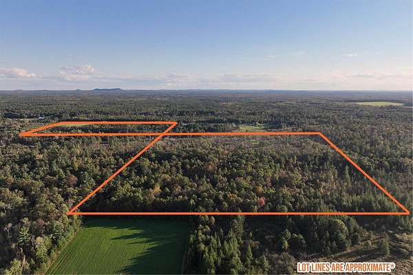 81 Acres of Land for Sale in Neillsville, Wisconsin