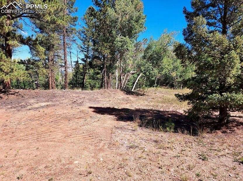1.67 Acres of Residential Land for Sale in Florissant, Colorado
