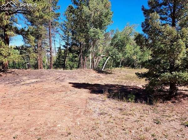1.67 Acres of Residential Land for Sale in Florissant, Colorado