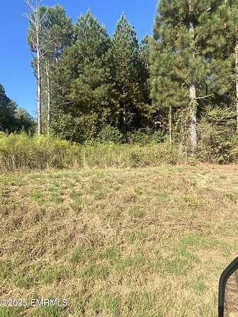 17 Acres of Land for Sale in Philadelphia, Mississippi