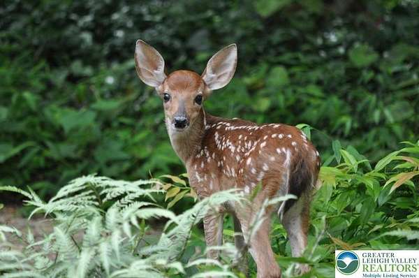 0.97 Acres of Residential Land for Sale in Tunkhannock Township, Pennsylvania