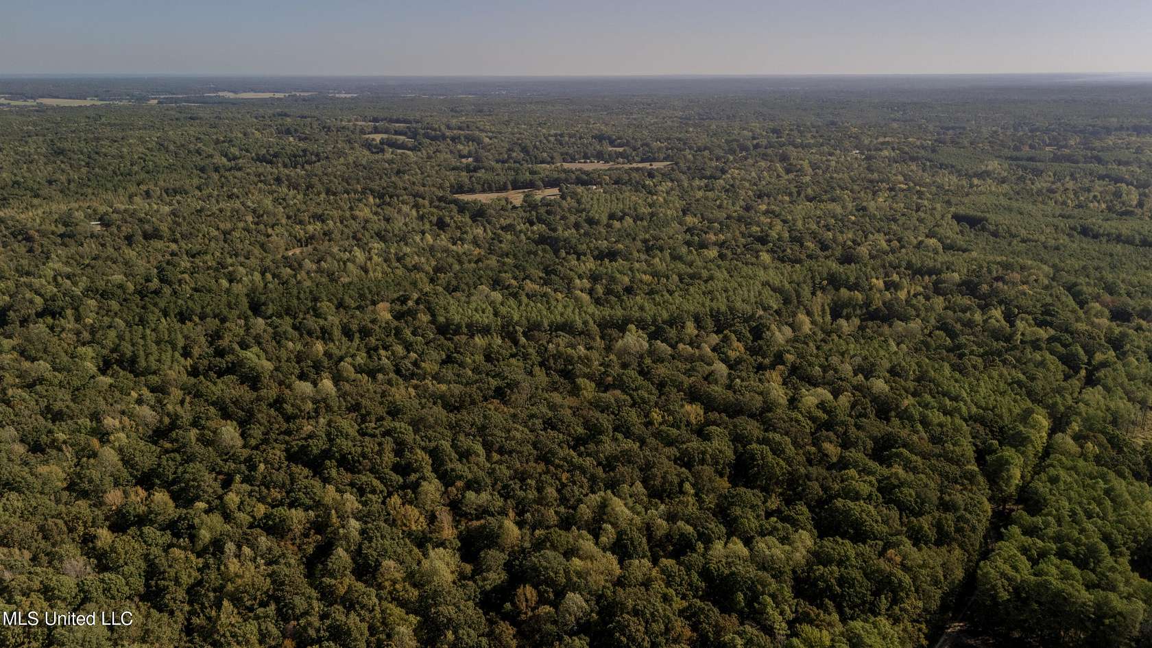 110 Acres of Recreational Land for Sale in Charleston, Mississippi