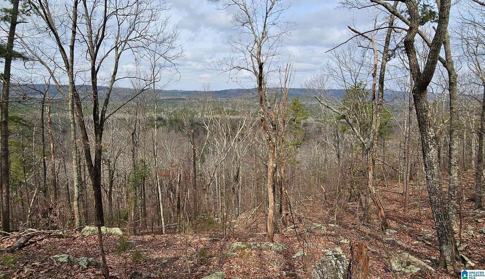 7.5 Acres of Land for Sale in Birmingham, Alabama