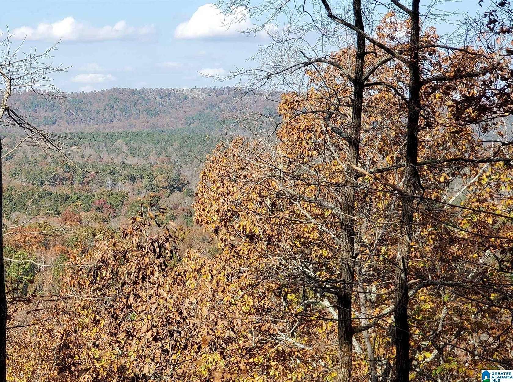 7.5 Acres of Land for Sale in Birmingham, Alabama
