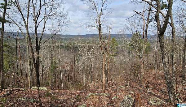 7.5 Acres of Land for Sale in Birmingham, Alabama