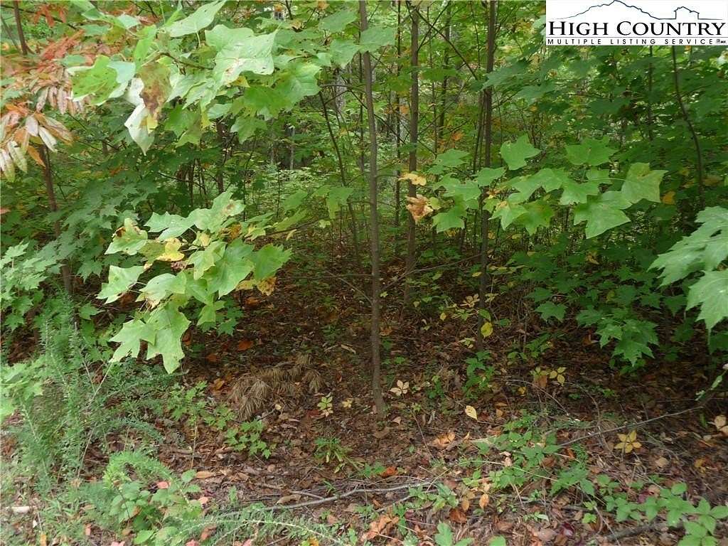 1.62 Acres of Land for Sale in Black Mountain, North Carolina