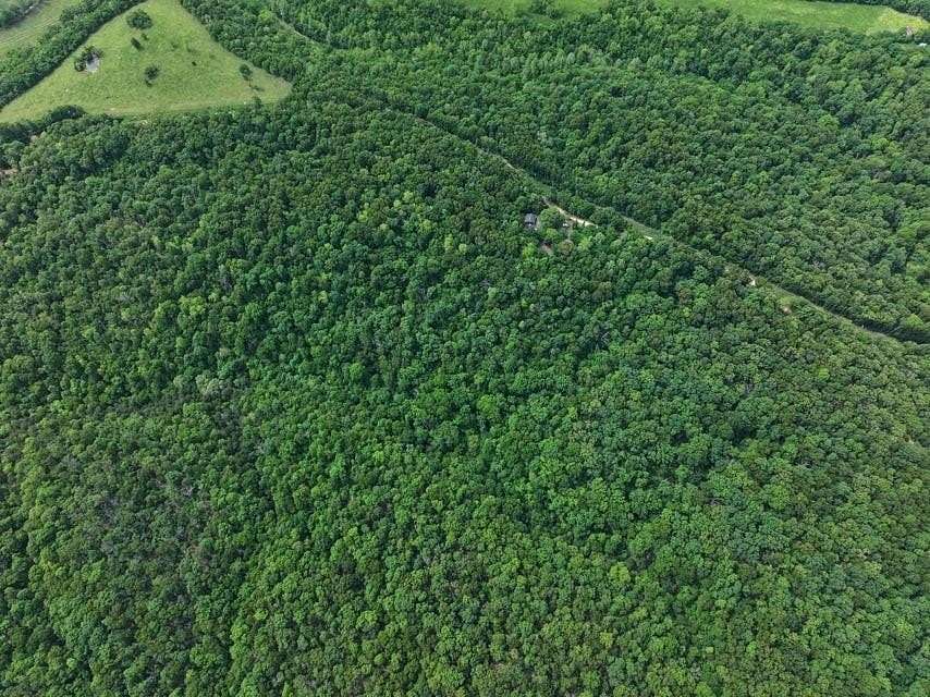 38.9 Acres of Recreational Land for Sale in Noel, Missouri