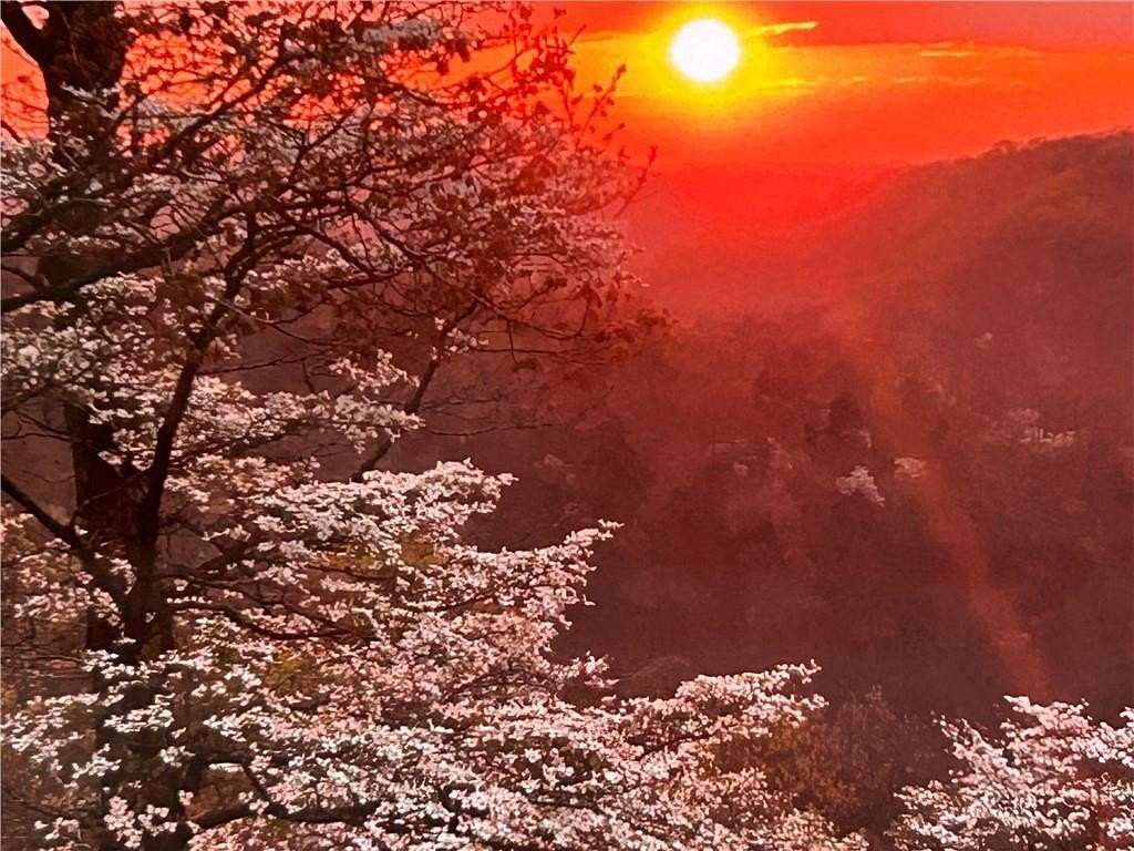 50 Acres of Land with Home for Sale in Washburn, Missouri