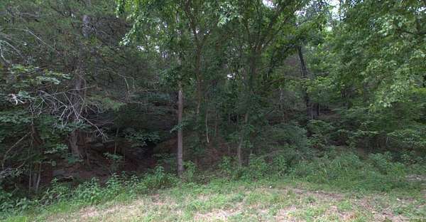 10.8 Acres of Land for Sale in Noel, Missouri