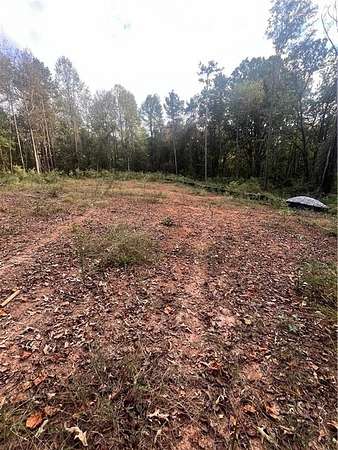 2.19 Acres of Residential Land for Sale in Pendergrass, Georgia