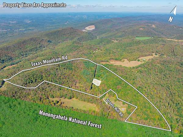 82.2 Acres of Recreational Land for Sale in Parsons, West Virginia