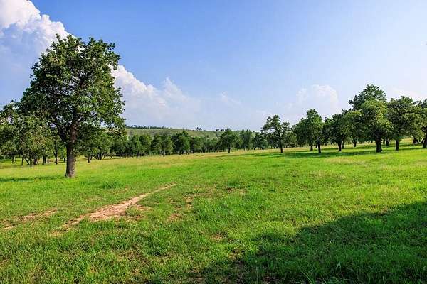 32 Acres of Land for Sale in Fredericksburg, Texas