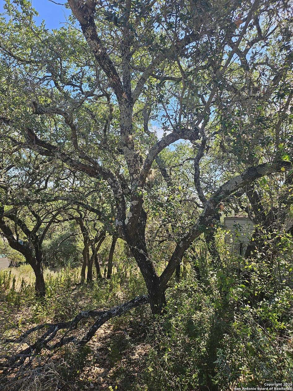 0.14 Acres of Residential Land for Sale in Canyon Lake, Texas