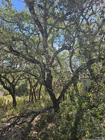 0.14 Acres of Residential Land for Sale in Canyon Lake, Texas