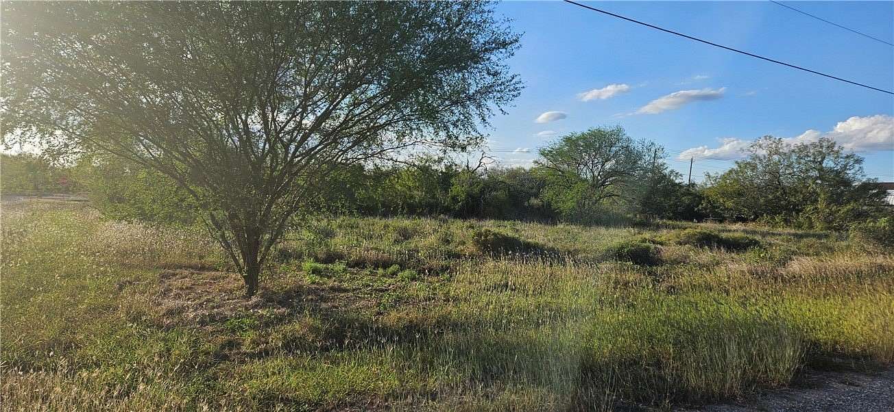 0.23 Acres of Land for Sale in Alice, Texas