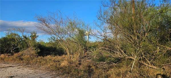 0.16 Acres of Land for Sale in Alice, Texas