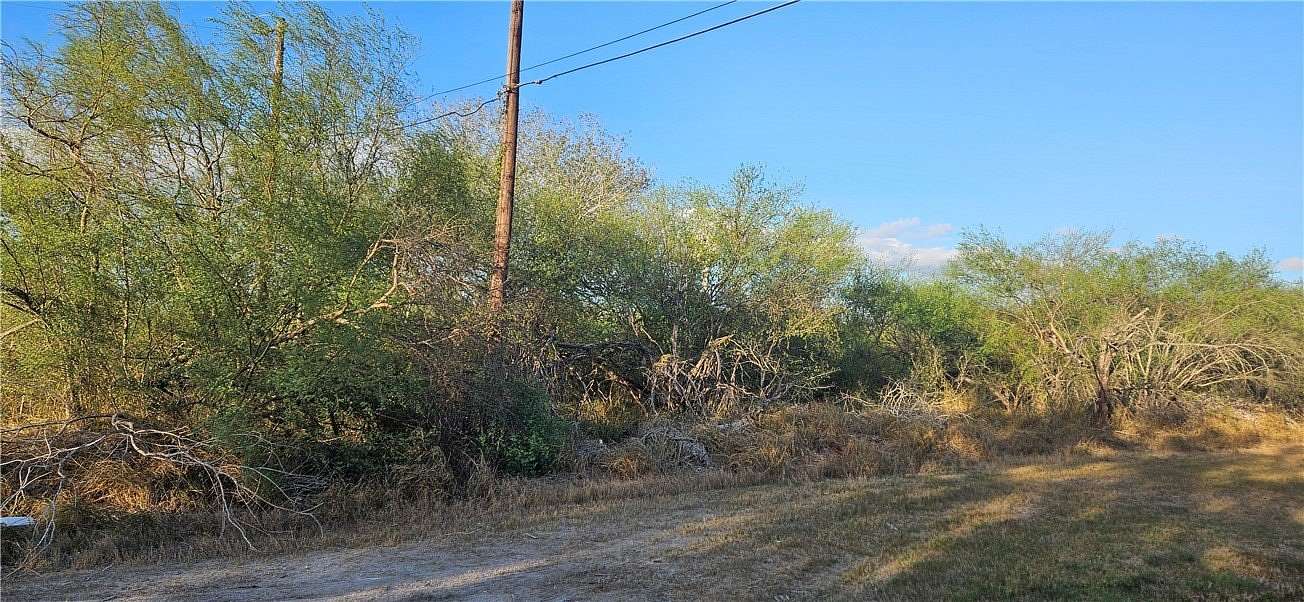 0.16 Acres of Residential Land for Sale in Alice, Texas