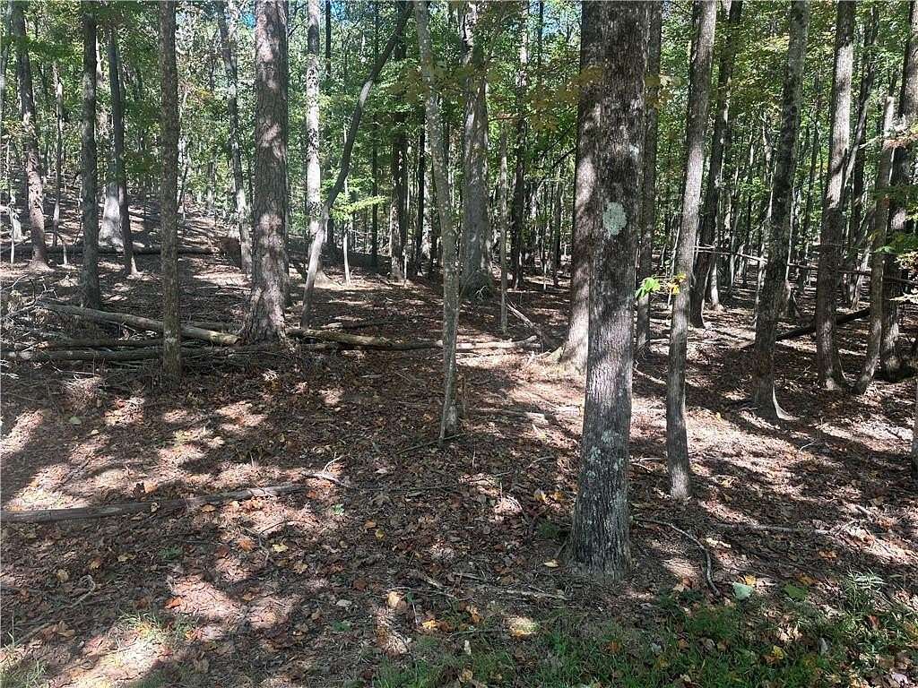 0.6 Acres of Residential Land for Sale in Jasper, Georgia
