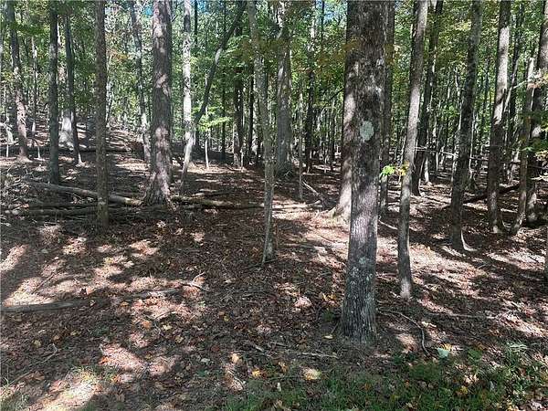 0.6 Acres of Residential Land for Sale in Jasper, Georgia