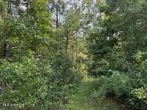 9.8 Acres of Residential Land for Sale in Carriere, Mississippi