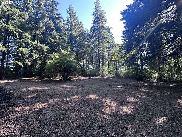 4 Acres of Residential Land with Home for Sale in Boring, Oregon