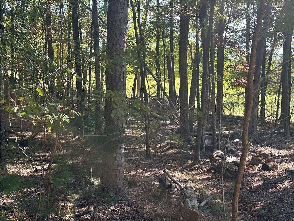 0.79 Acres of Residential Land for Sale in Jasper, Georgia