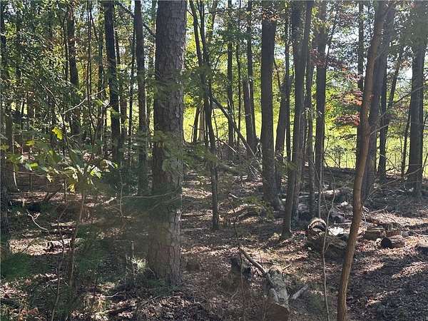 0.79 Acres of Residential Land for Sale in Jasper, Georgia