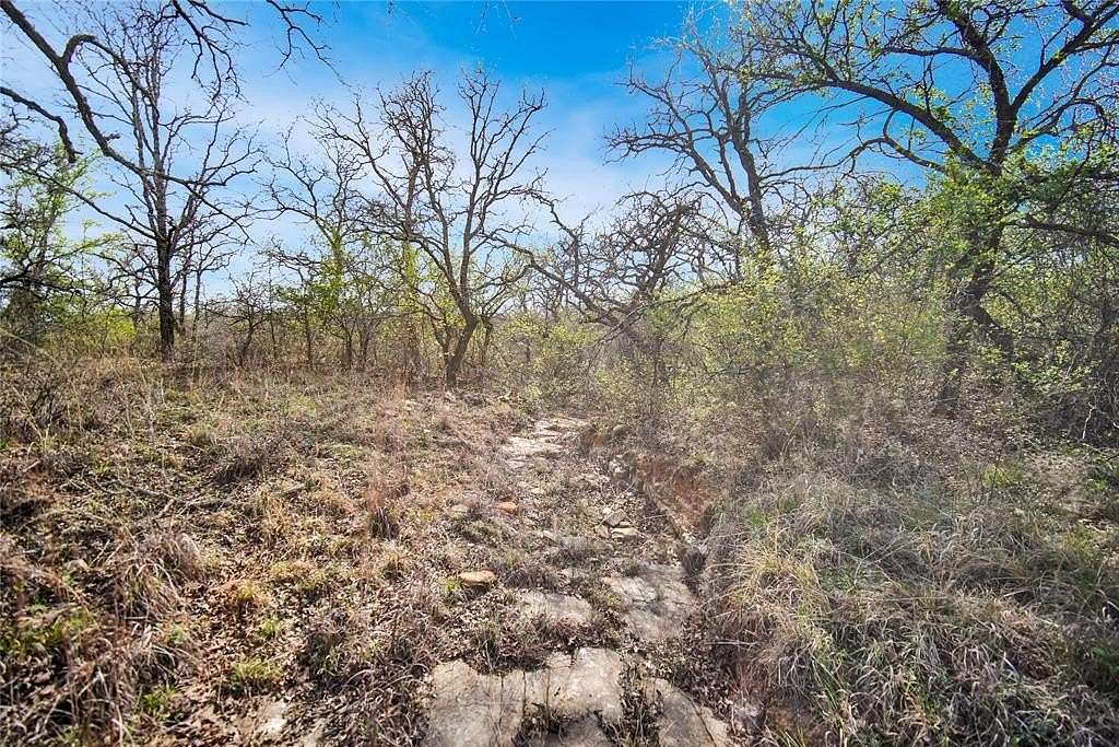 44 Acres of Recreational Land & Farm for Sale in Jacksboro, Texas