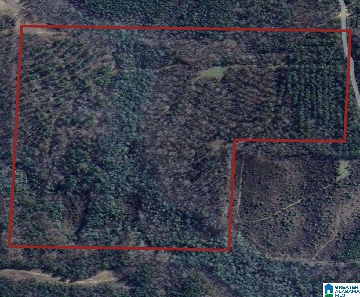 50 Acres of Recreational Land for Sale in Hamilton, Alabama