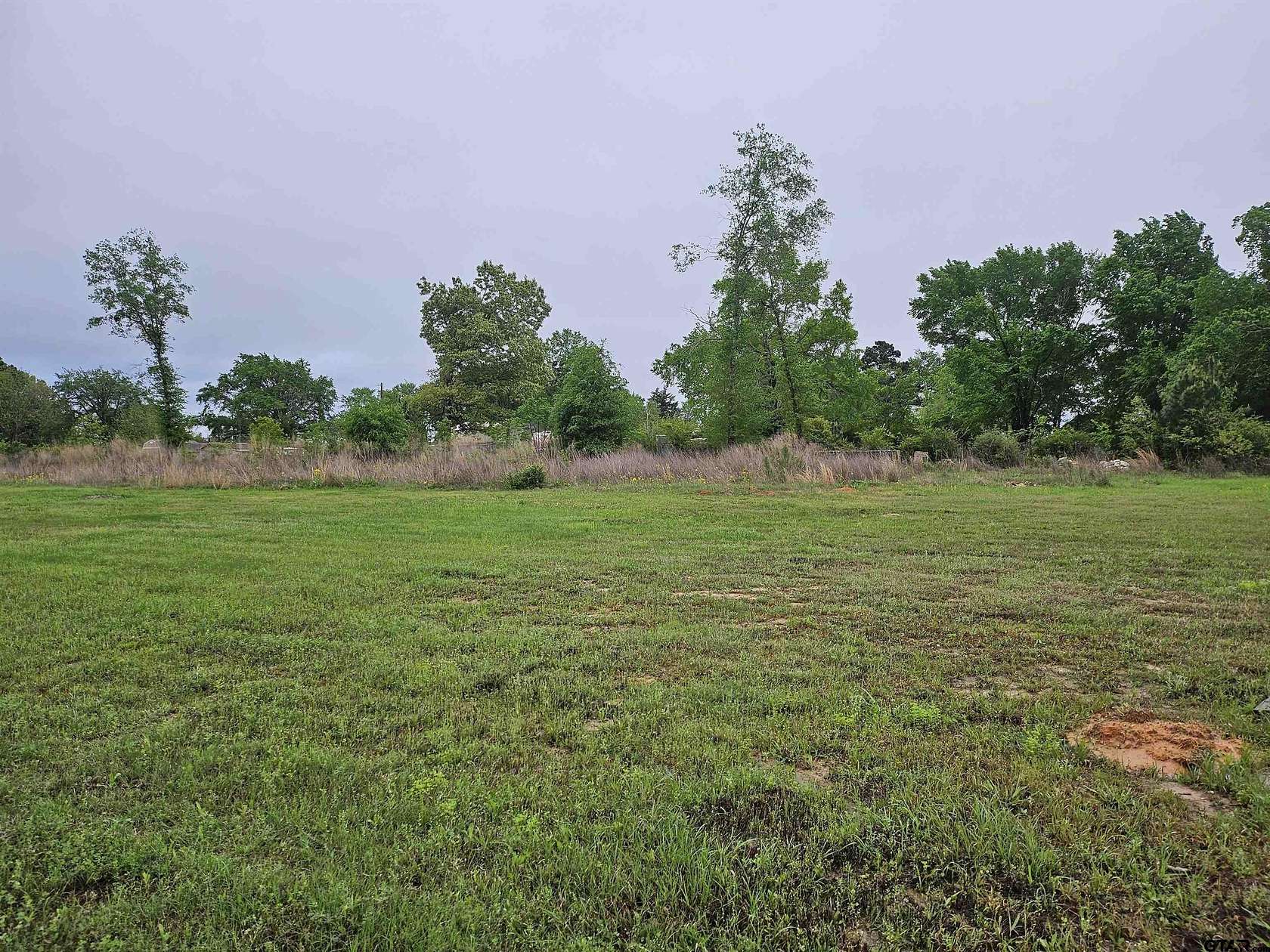 Residential Land for Sale in Chandler, Texas