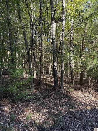 0.4 Acres of Residential Land for Sale in Cadiz, Kentucky