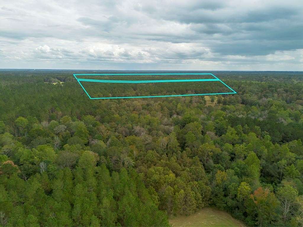78.5 Acres of Recreational Land for Sale in Moselle, Mississippi