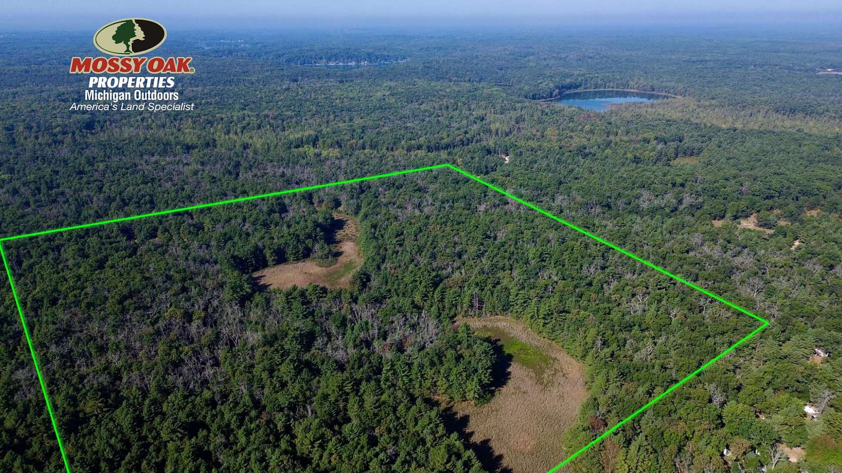 40 Acres of Land for Sale in Newaygo, Michigan