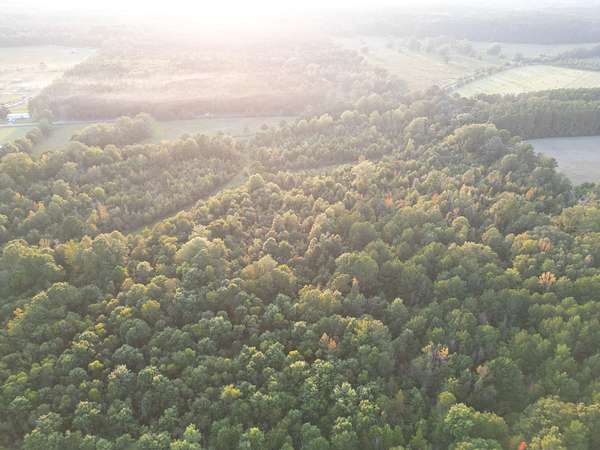 81 Acres of Recreational Land for Sale in Carthage, Mississippi