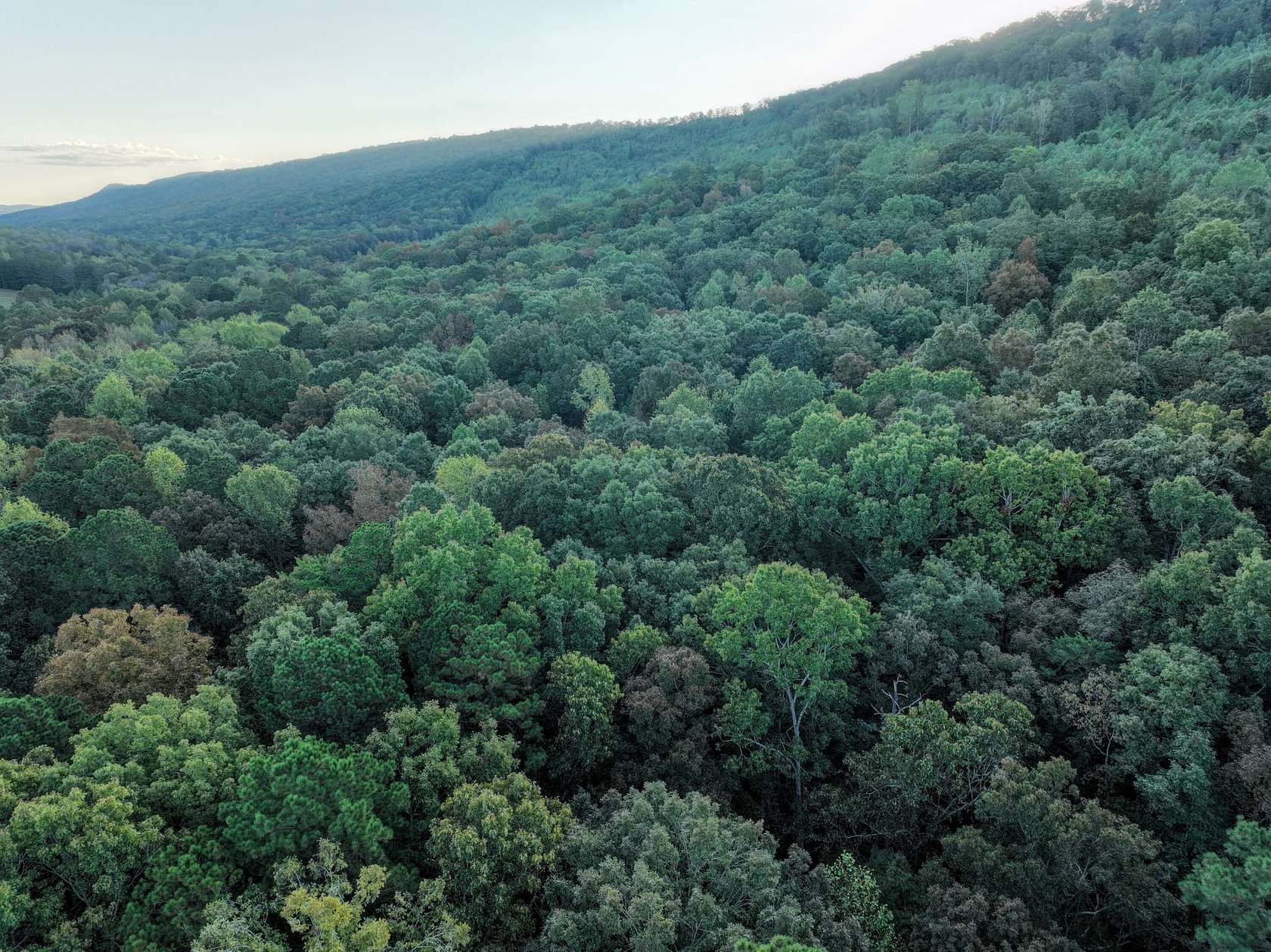 77 Acres of Recreational Land for Sale in Steele, Alabama