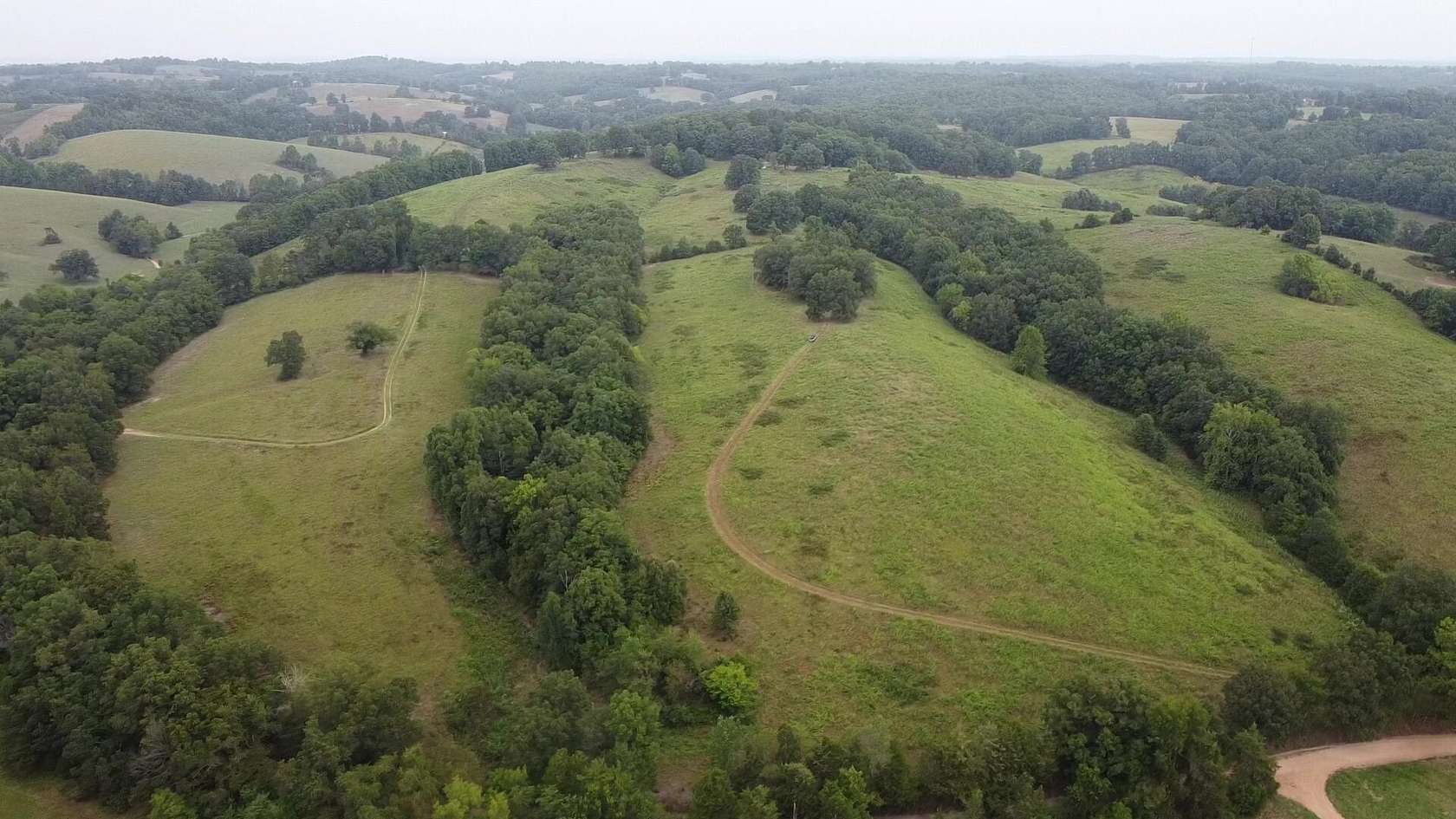 100 Acres of Agricultural Land for Sale in Marshall, Arkansas