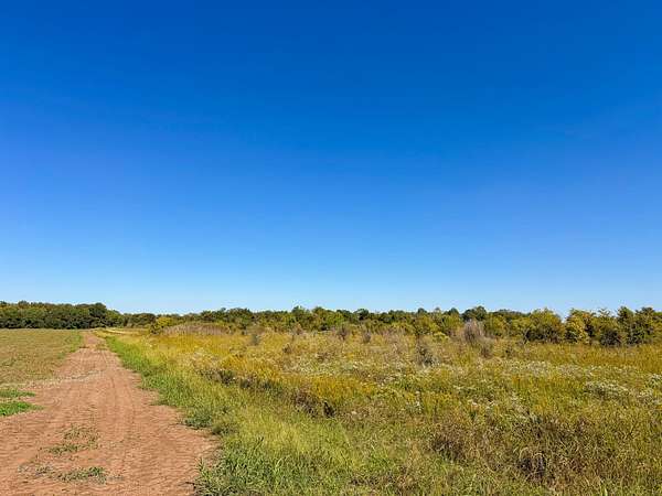 20.1 Acres of Recreational Land for Sale in Dumas, Arkansas